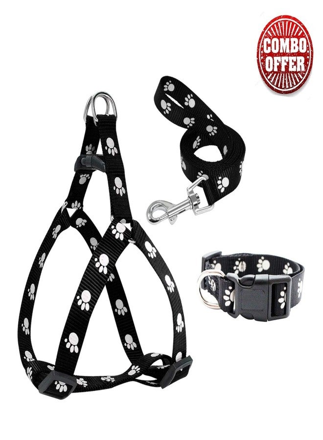 RoverPets 15mm Paw Print Nylon Collar| Harness & Leash Set for Puppies and Medium Dogs | Adjustable & Durable Pet Walking Kit (Color May Vary, Pack of 3) - Image 2